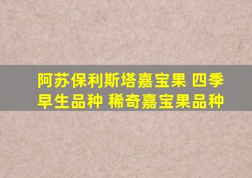 阿苏保利斯塔嘉宝果 四季早生品种 稀奇嘉宝果品种